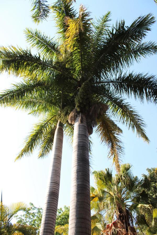 Ngwenya Boutique Hotel Lephalale المظهر الخارجي الصورة